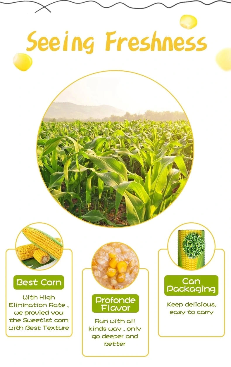 Canned Food Canned Sweet Corn Kernel Canned 410g with Low Price Easy Open Lid Halal for Wholesale