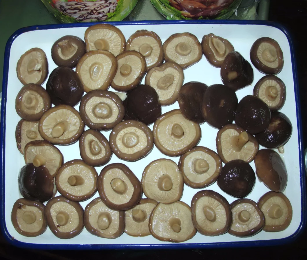 Canned Food Canned Shiitake Mushroom Sliced with Private Label