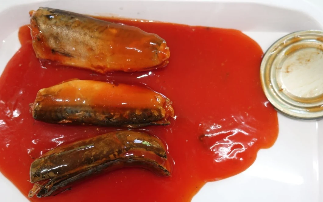 Canned Fish Canned Mackerel in Brine/Tomato Sauce with Private Label