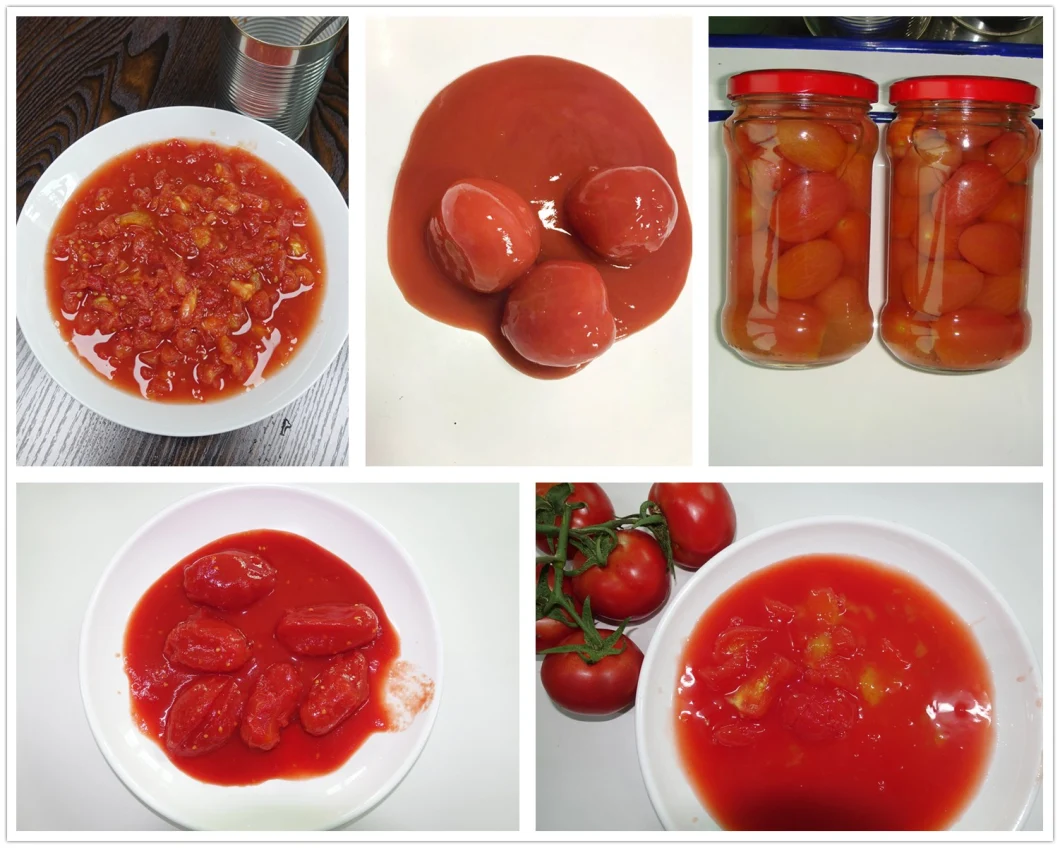 Fresh Canned Chopped Peeled Tomato in Tomato Juice