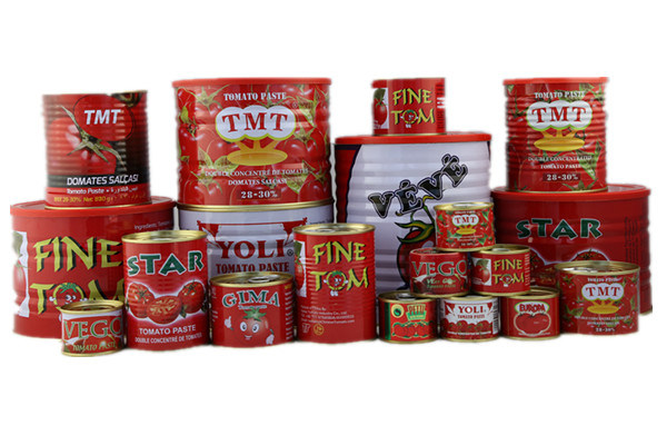 400g Tomato Paste with Halal Certificate Canned Tomato Paste Price