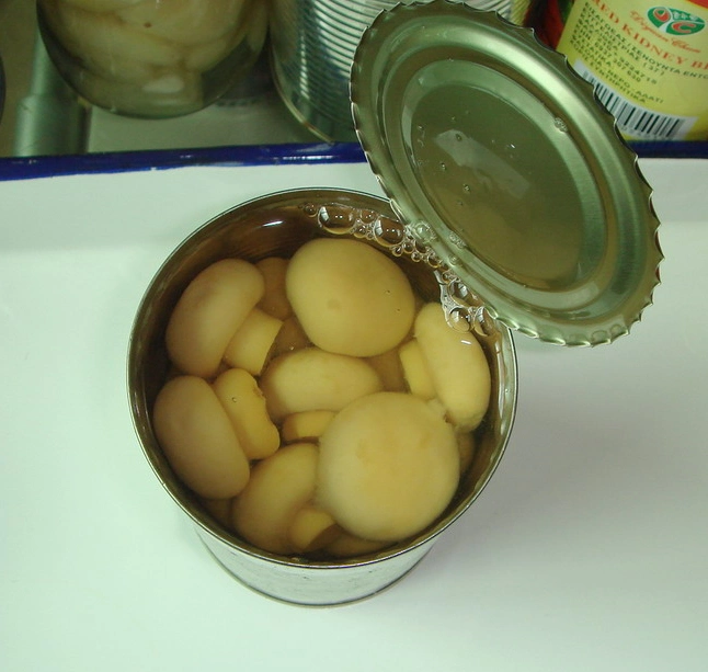 Best Price Canned Food Canned Mushroom Whole From China