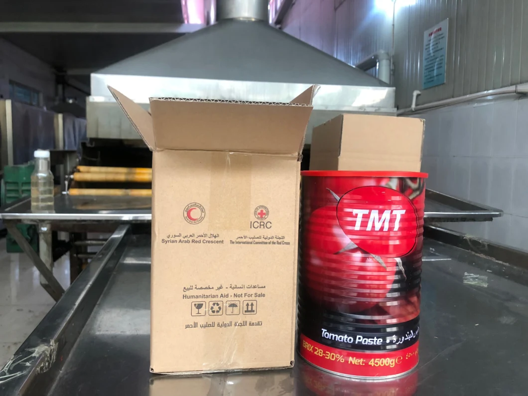 Canned Tomatoes Tomato Paste 400g Canned Food Canned Tomato Brands Paste Production Line