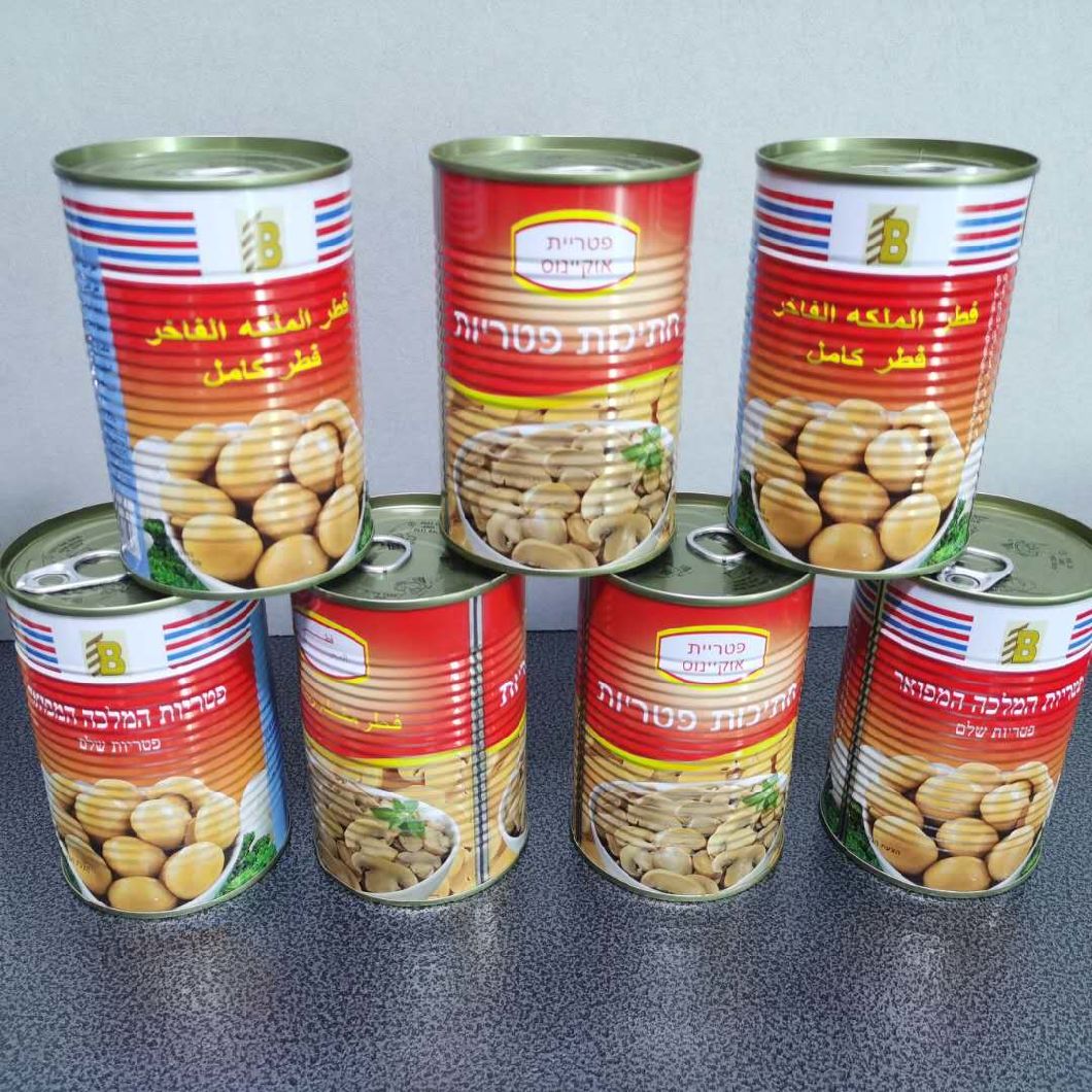 Color Printing Tin/Canned Champignon Fresh Mushroom with Private Label