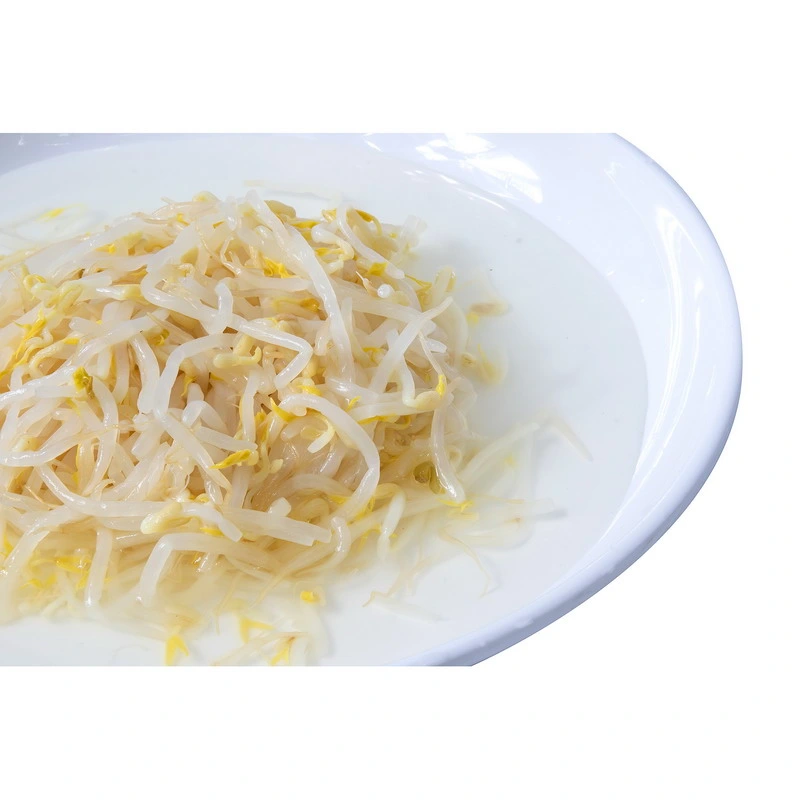 Canned Vegetables Canned Bean Sprouts with Best Price