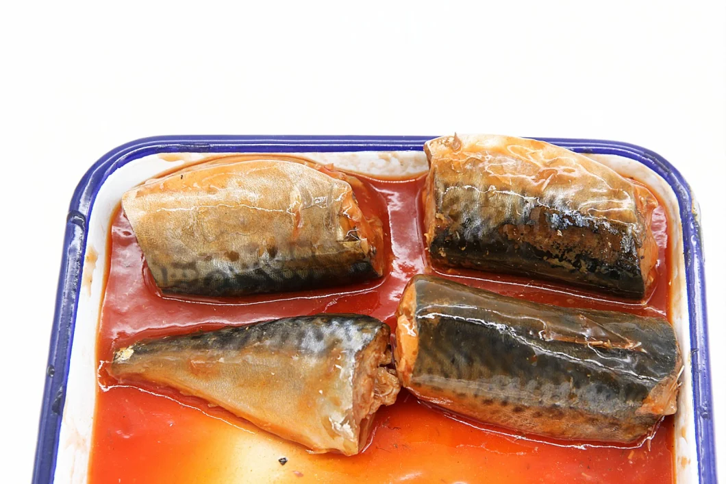 Canned Sardines in Oil/Tomato Sauce/Brine
