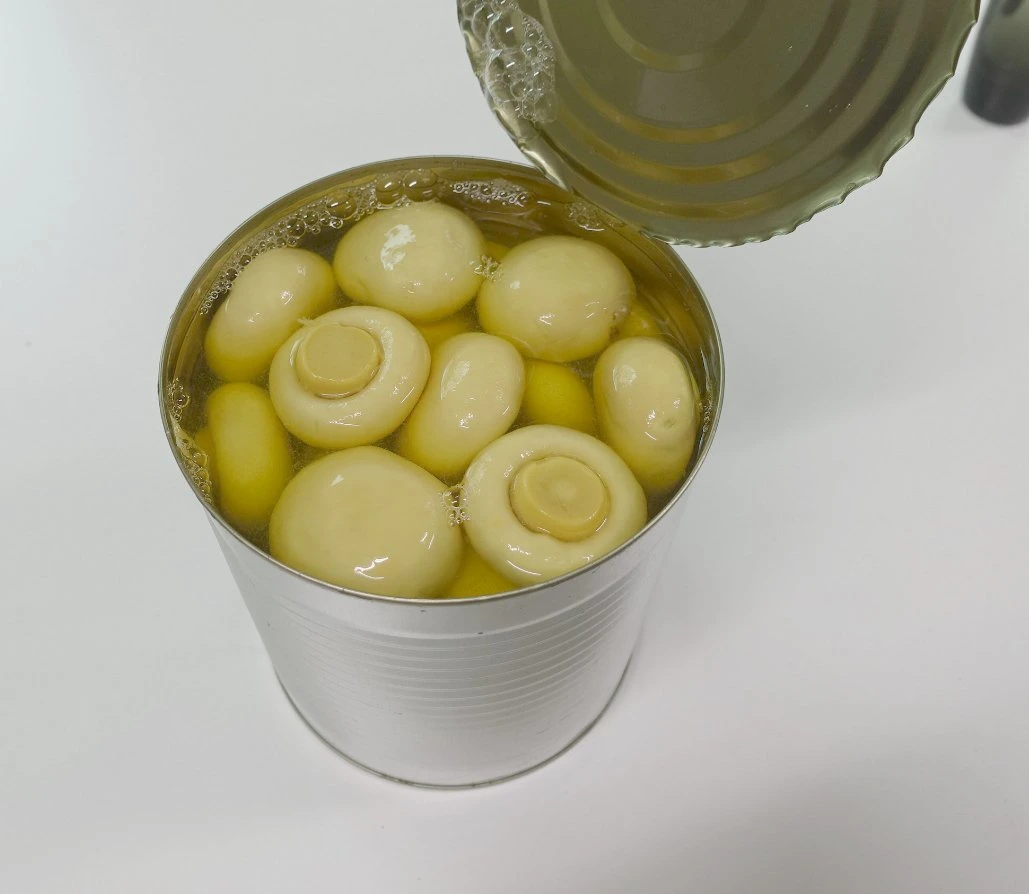 Canned Mushroom Canned Champignon Whole/Sliced/P&S with Private Label