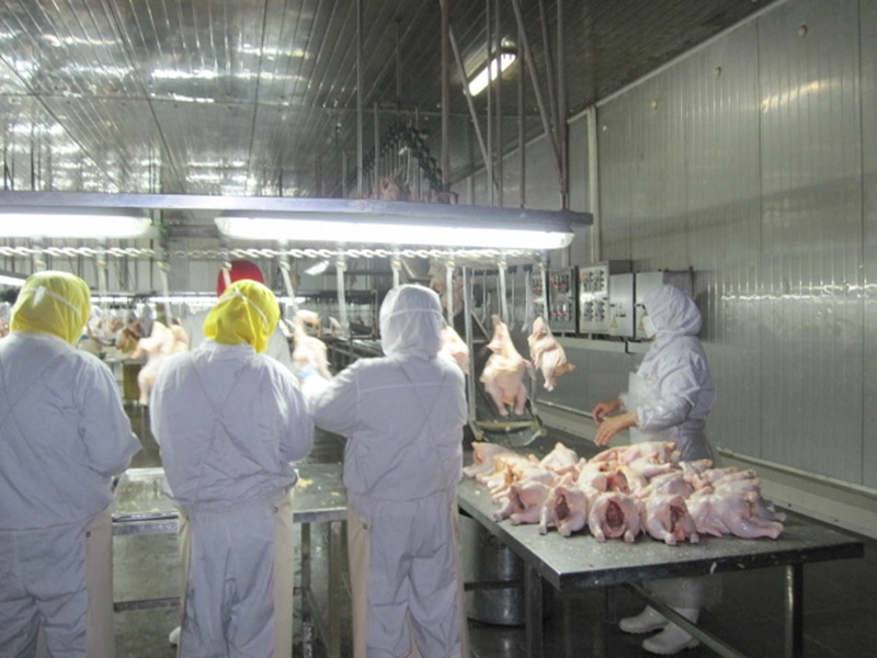Halal Chicken Breast Meat Skinless Boneless