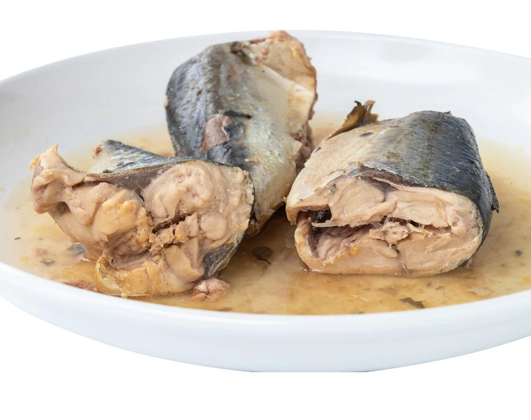 Canned Fish Canned Mackerel with Oval Tin Fish in Tomato Sauce 425g