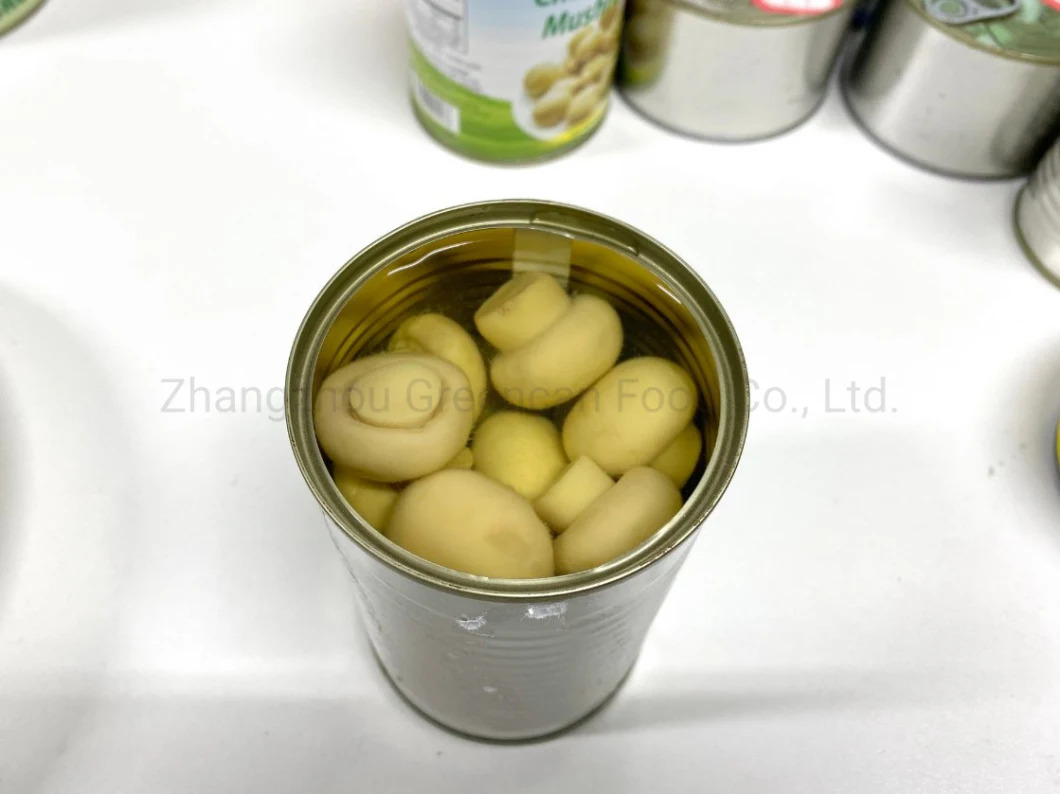 Canned Food Whole White Mushrooms From China Cannery