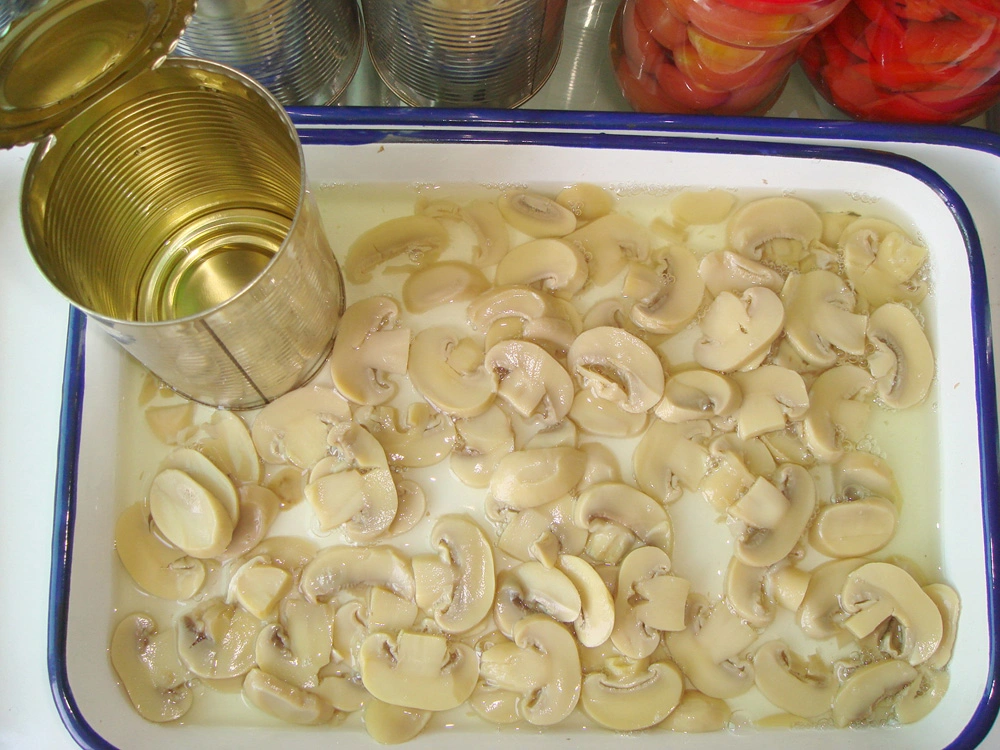 Canned Food Mushroom Slices with Good Price