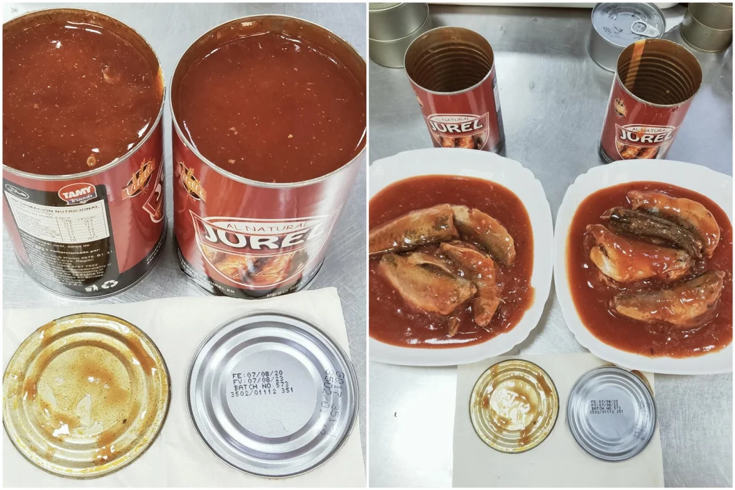 Fresh Sfish Canned Mackerel in Tomato Sauce