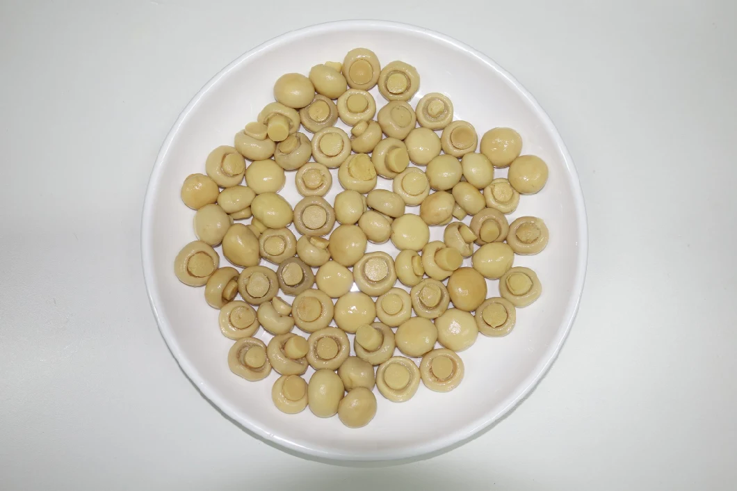 2021 Canned Food Canned Mushroom Pieces & Sliced Grade a