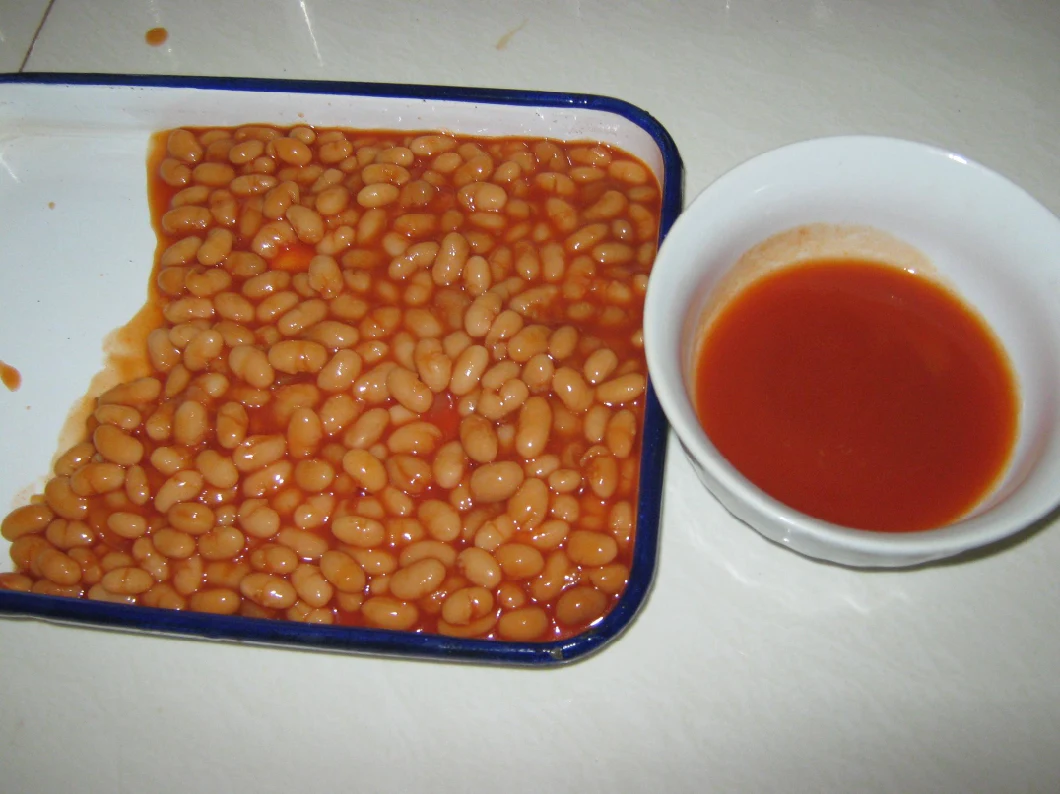 400g Factory Price Canned Food Canned Baked Beans with Private Label