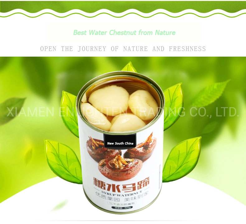2021 Newest Canned Whole/Sliced Water Chestnut in Water
