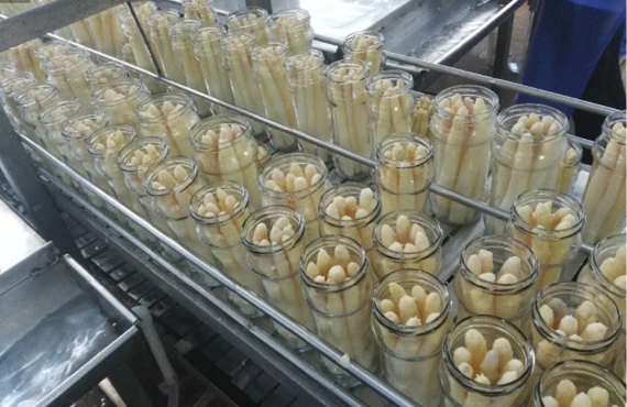 Vegetable Canned Food Canned Asparagus From China