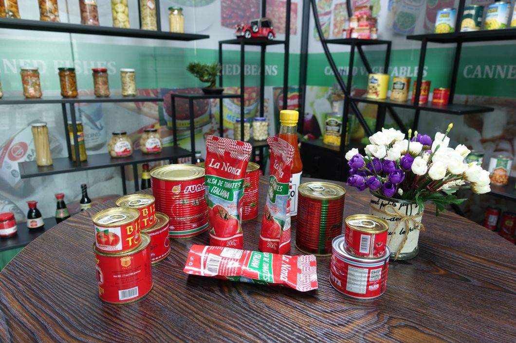 Canned Food Canned Tomato Paste with Private Label