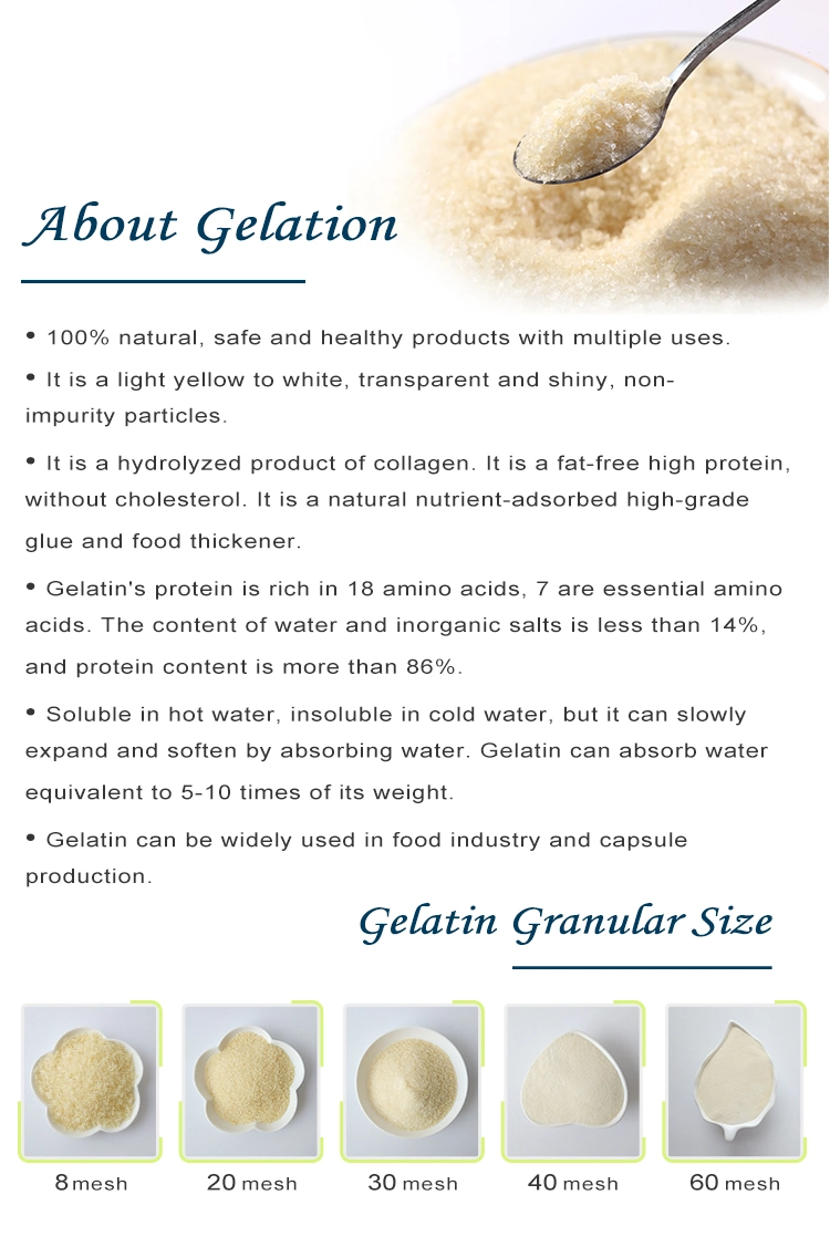 Halal Beef Gelatin Powder Price/Unflavored Gelatin