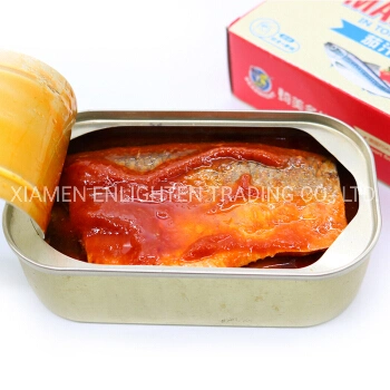 New Arrival Canned Mackerel in Tomato Sauce 425g with Best Price