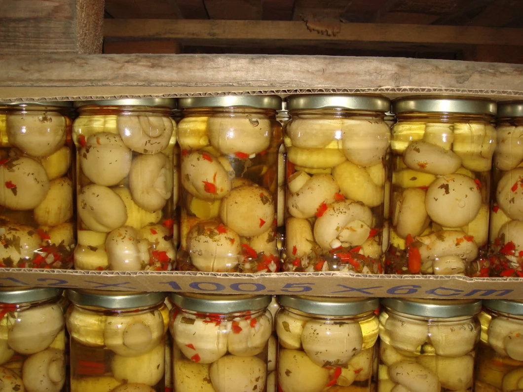 Canned Food Whole Fresh Mushroom in Canned