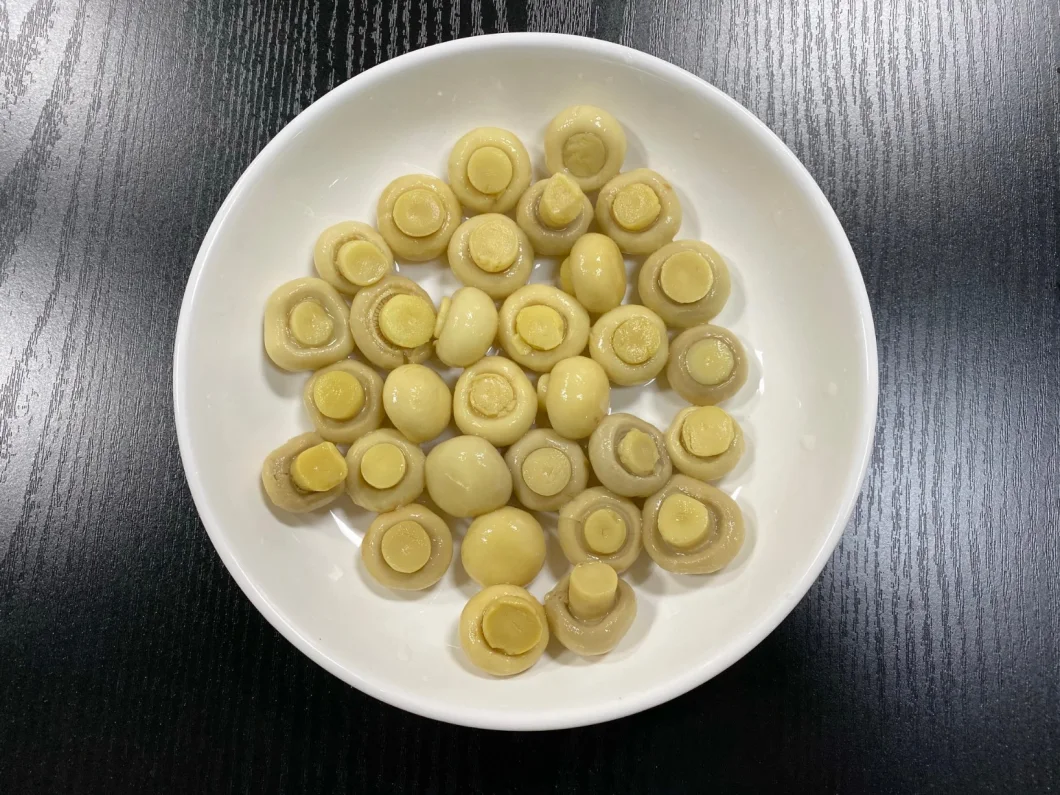 Canned Mushroom Canned Champignon Whole/Sliced/P&S with Private Label