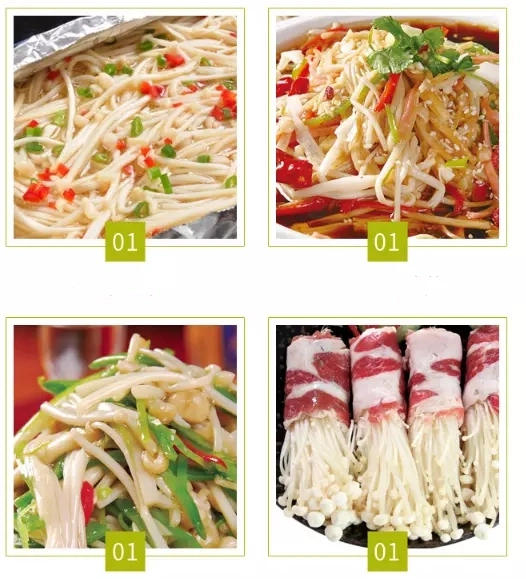 Canned Fresh Enoki in All Types of Mushrooms