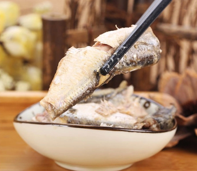 Canned Sardines in Tomato Sauce, Vegetable Oil, Brine