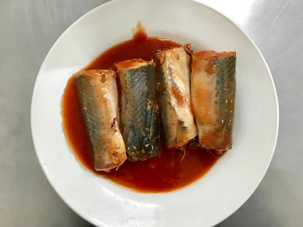 Canned Mackerel in Tomato Sauce with Private Label for Chile