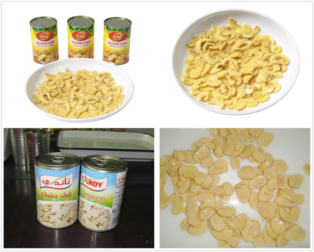 China Canned Food Canned Mushroom Whole with Best Quality