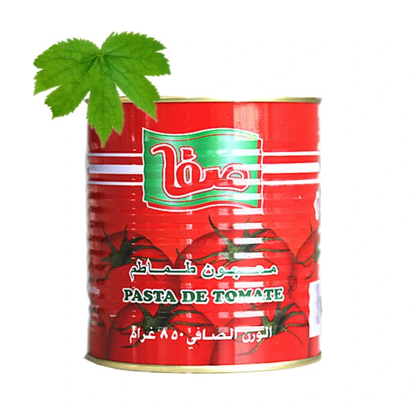 400g Halal Canned Tomatoes Paste Safa Brands