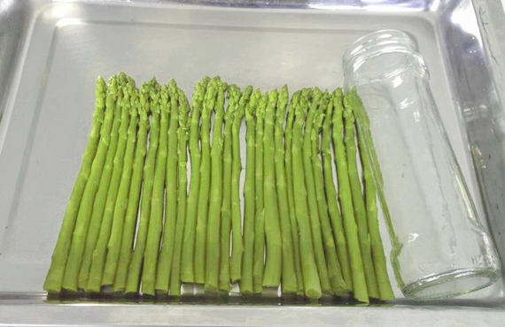 Canned Food Green Asparagus with High Quality
