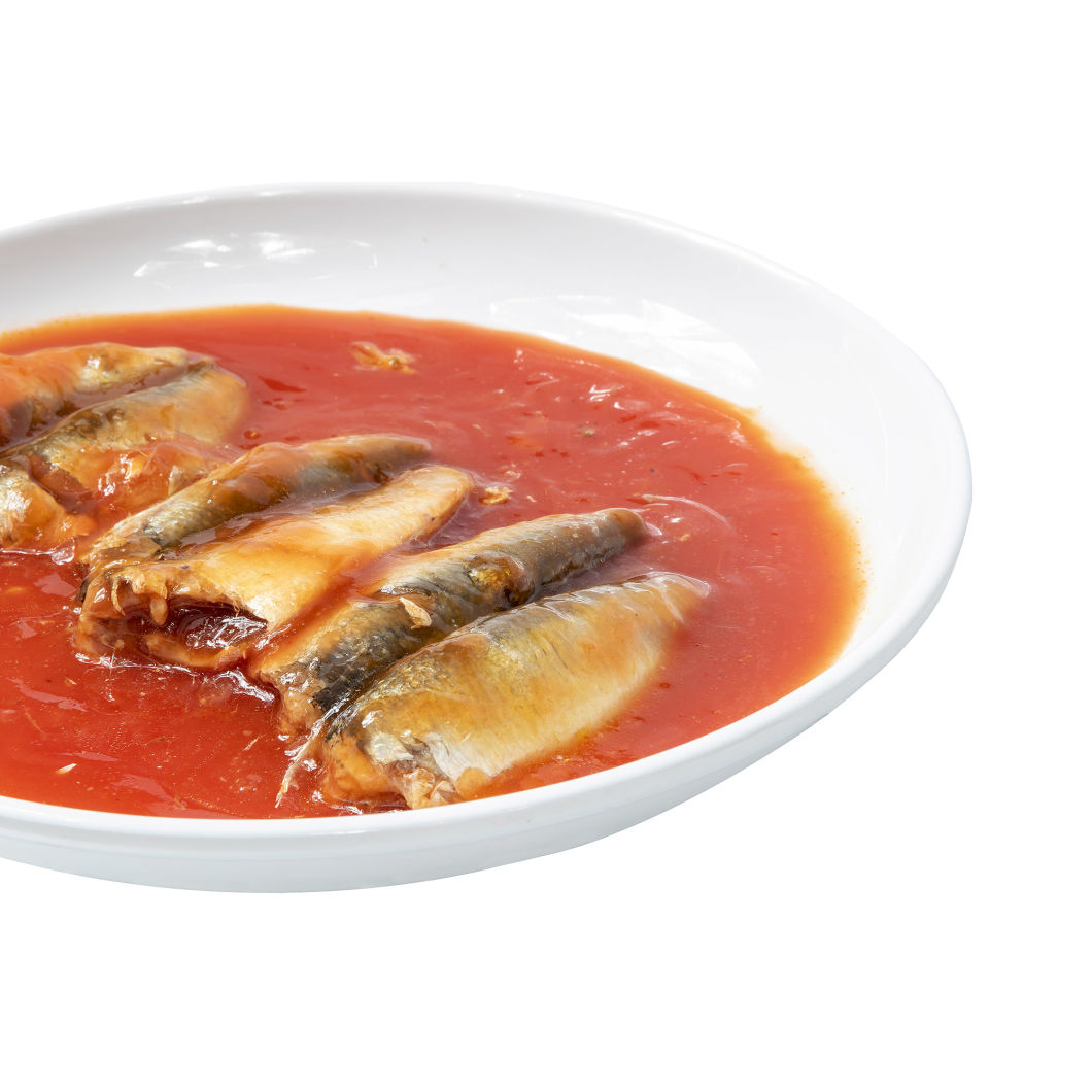 Canned Food Canned Sardine Fish in Tomato Source