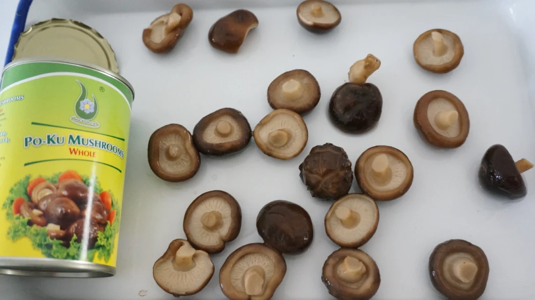 Promotional Canned Shiitake Mushrooms Whole