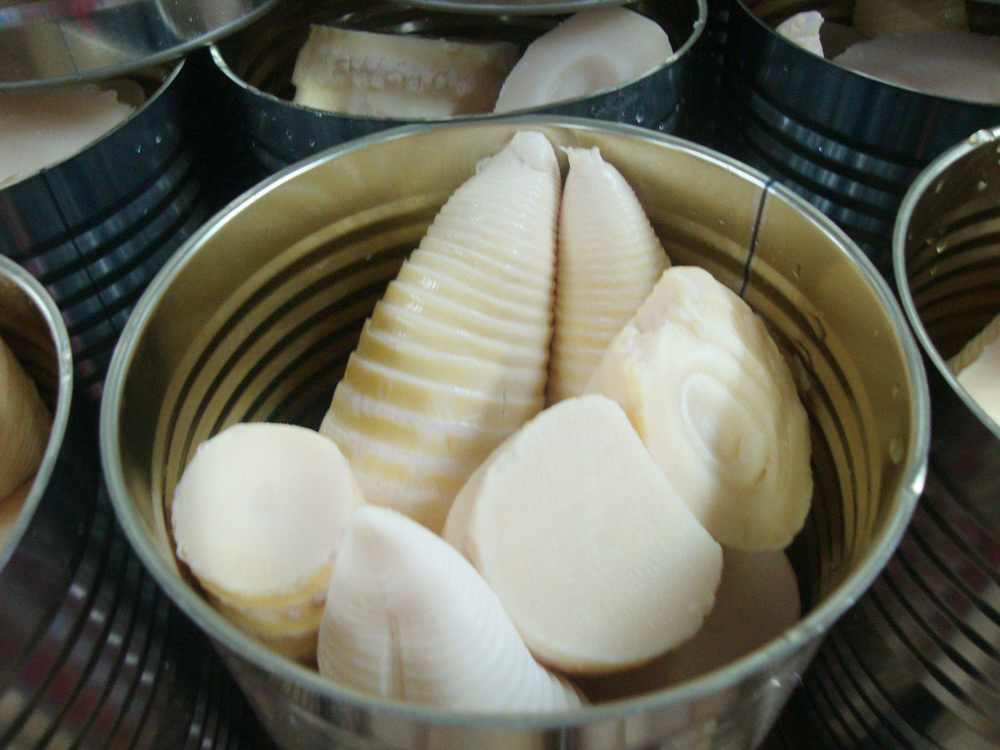 Canned Bamboo Shoots Sliced with Original Flavor