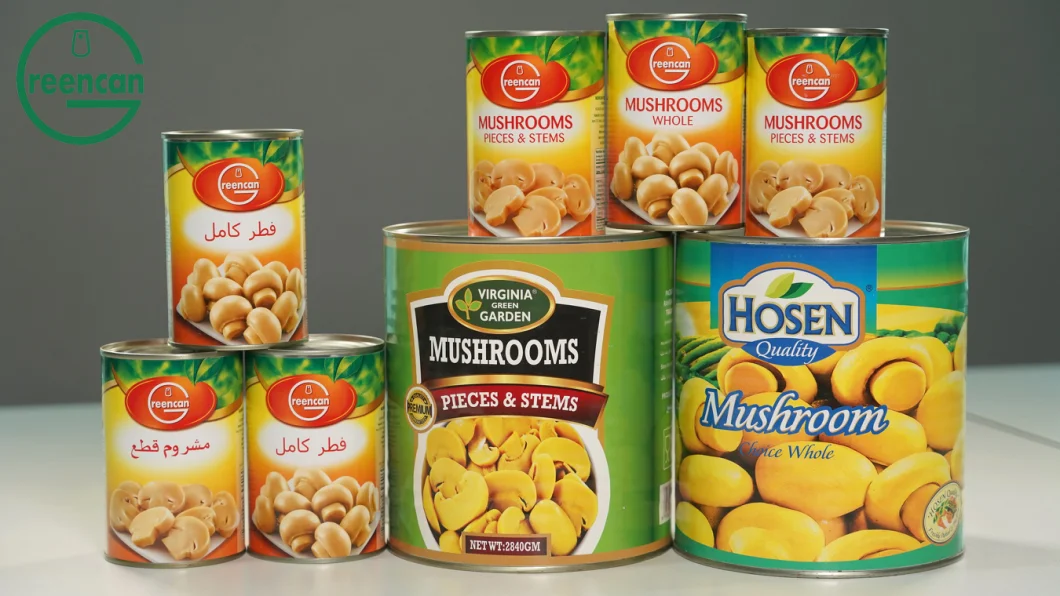 Canned Food Canned Mushroom Pieces & Sliced Grade a