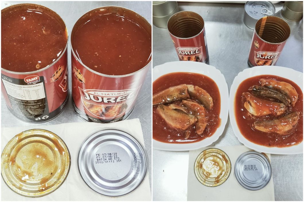 Canned Food Canned Mackerel Fresh Fish in Tomato Sauce