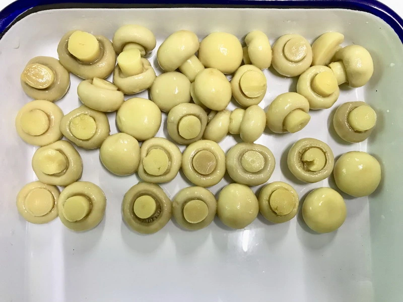 Canned Mushrooms Whole/Sliced/Pns From China