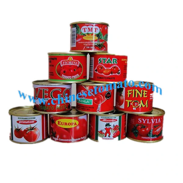 Double Concentrated Tomato Paste Sauce 800g in Tins