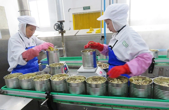 Health Food Canned Shiitake Mushrooms From China