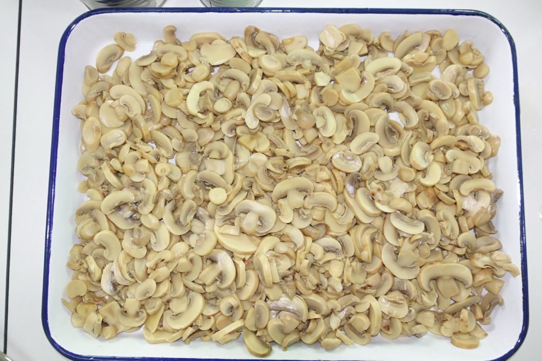 Good Quality Canned Mushroom Sliced From Chinese Manufacturer