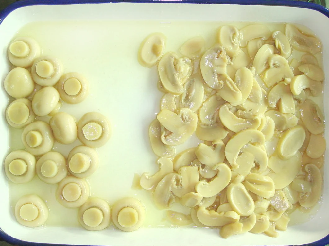 Canned Whole Mushroom with Fresh Raw Material