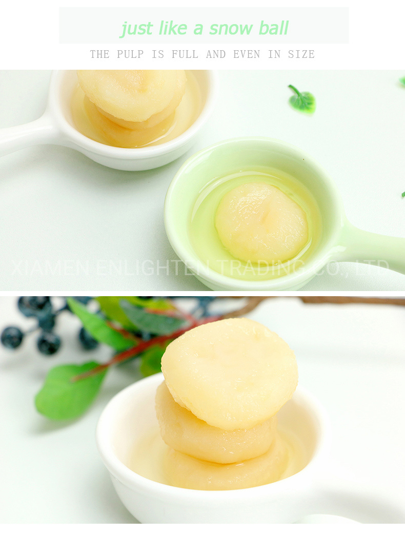 Canned Food Canned Whole/Sliced Water Chestnut in Water