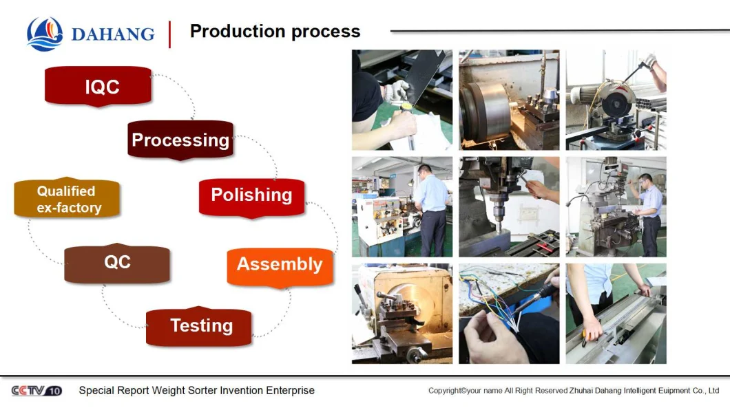 Chicken and Meat Weight Classifier Machine for Meat Processing Line