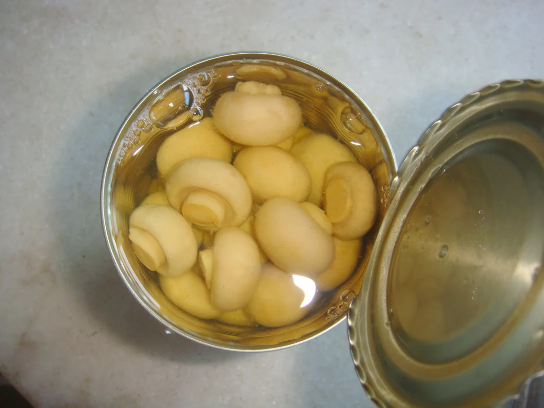 Canned Food Canned Whole Button Mushrooms From China