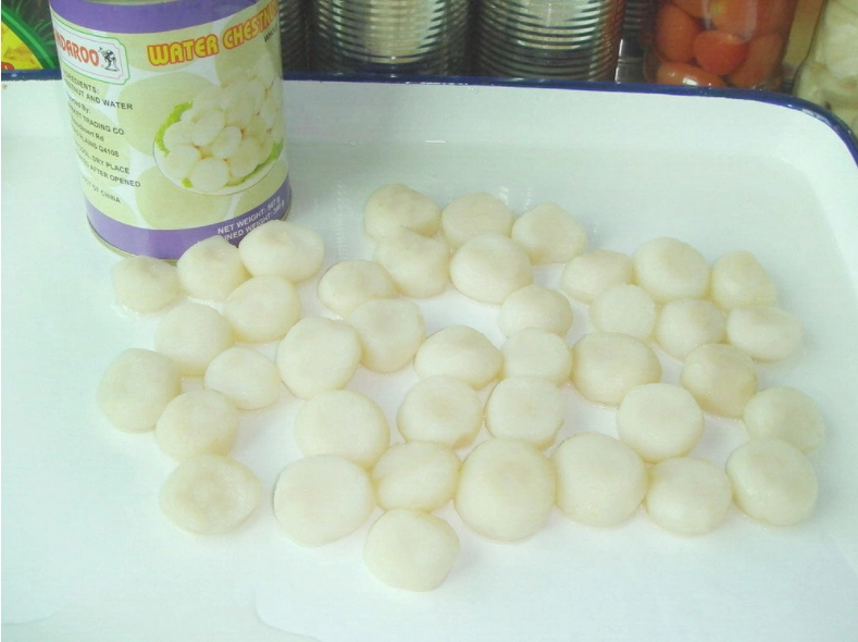 Canned Food Canned Water Chestnuts with OEM Factory