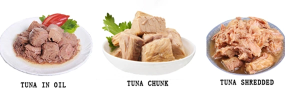 Fish Canned Fish Canned Tuna in Oil