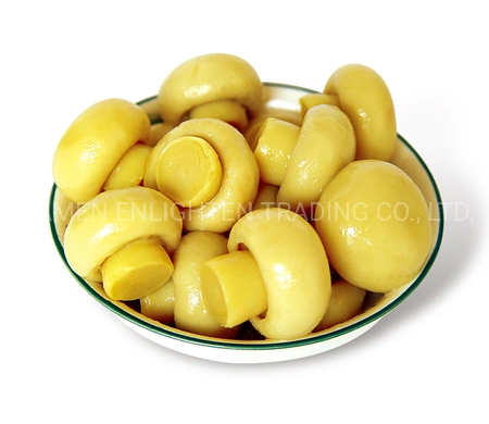 Canned Food Canned Vegetable Whole Mushroom with Super Quality
