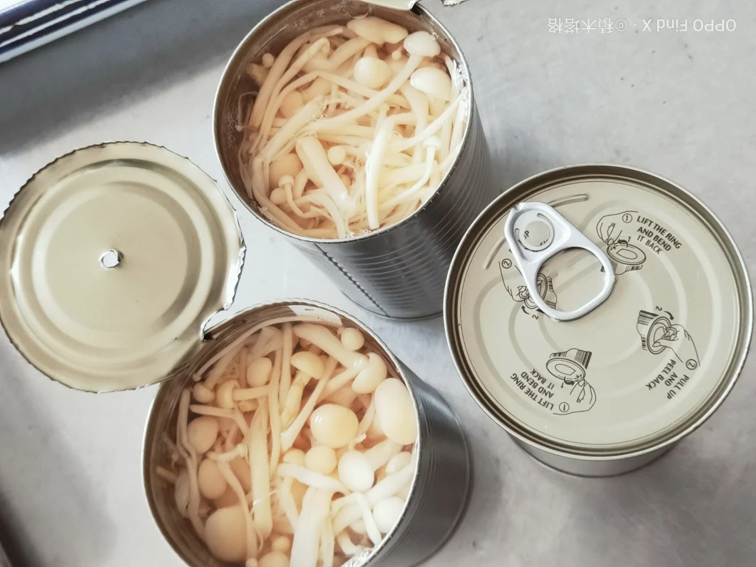 Canned Fresh Mushroom Canned Golden Mushroom From Factory Price
