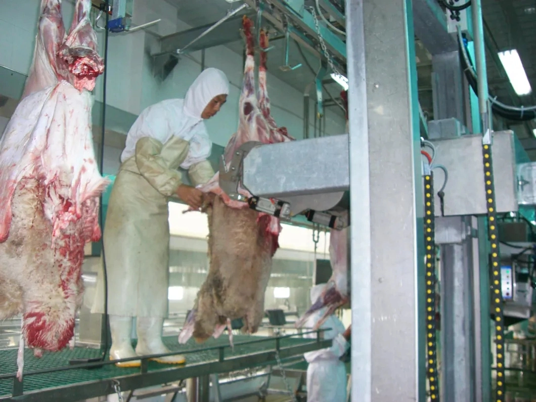 Sheep Slaughter for Mutton Production Line Halal Meat Plant Application with Chilling Room for Slaughterhouse