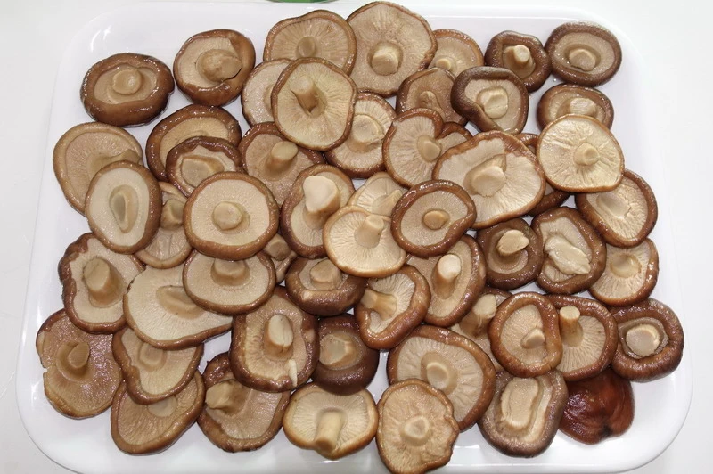 Canned Food Canned Shiitake Mushroom Whole with Factory Price